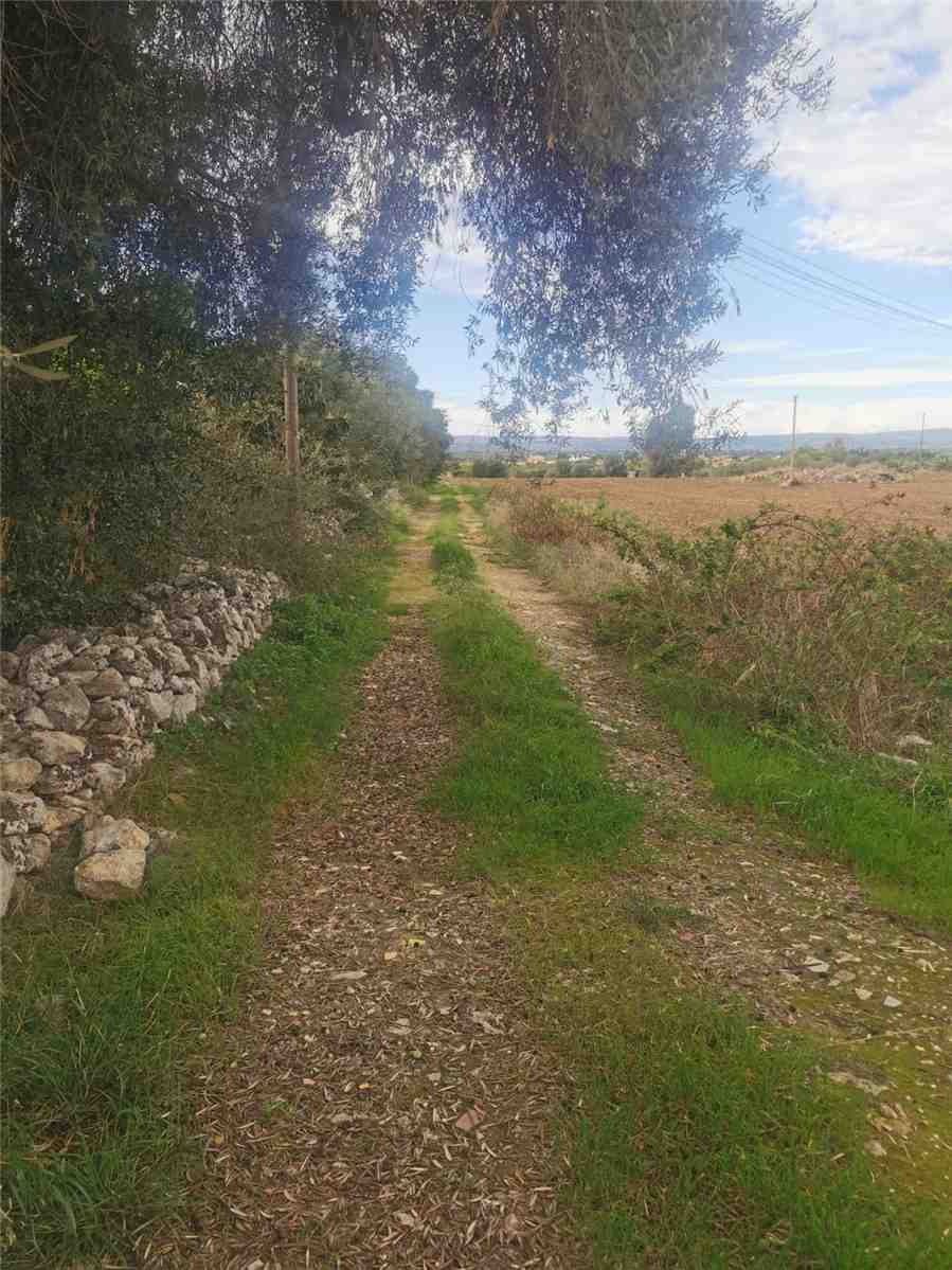 For sale Land Siracusa  #50T n.8