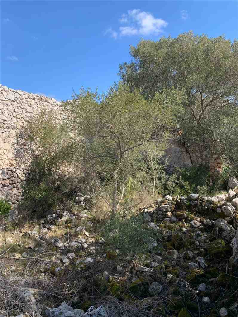 Verkauf Ruine Avola  #14T n.2