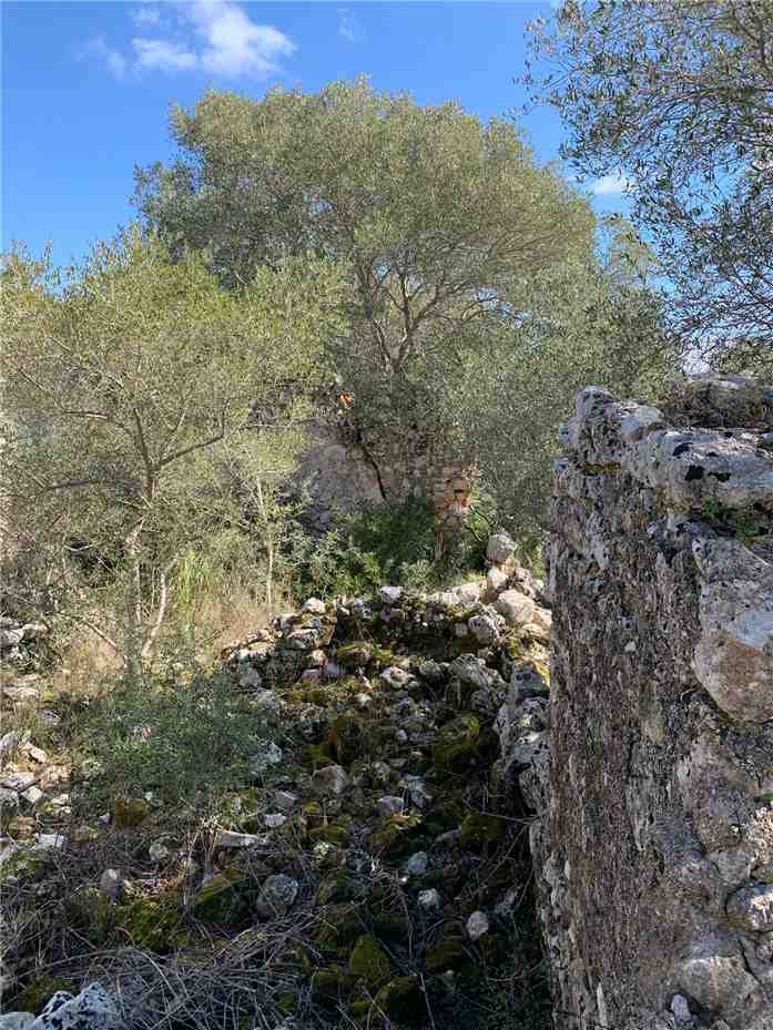 Verkauf Ruine Avola  #14T n.8