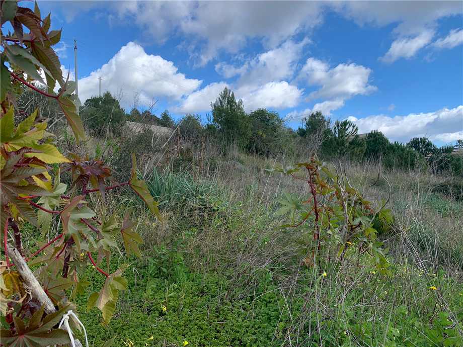 For sale Development land Noto #45T n.4