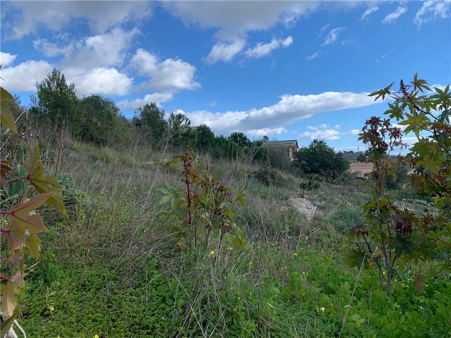 For sale Development land Noto #45T n.5