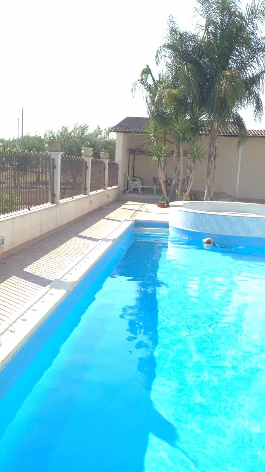 Vente Entrepôt Rosolini #38LC n.13