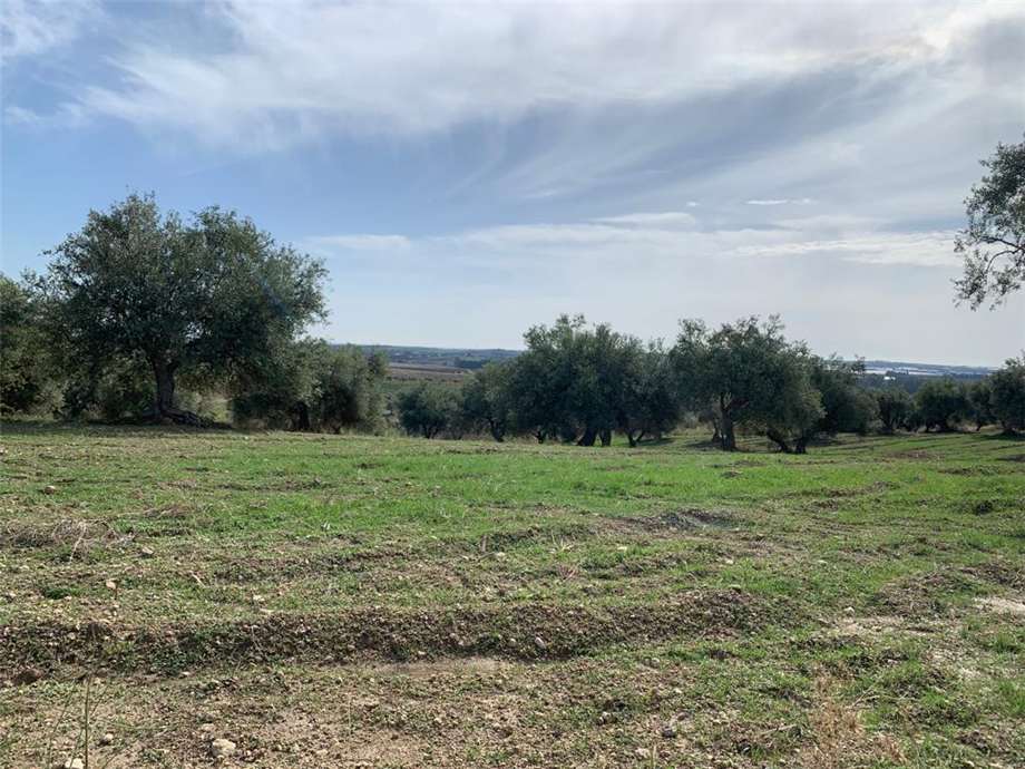 Venta Terreno Noto #27T n.10