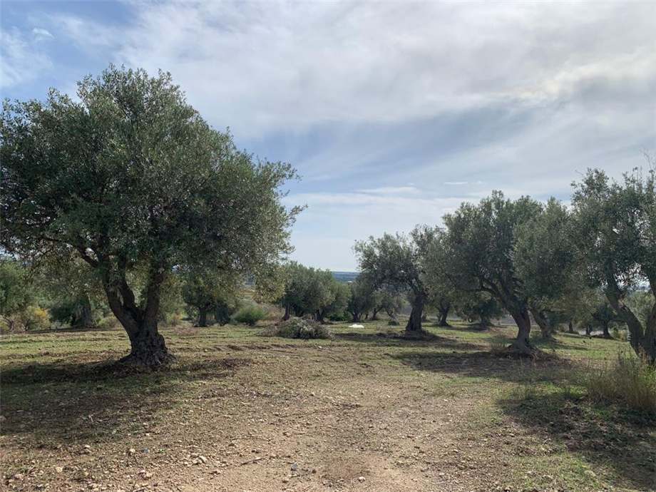 Venta Terreno Noto #27T n.4