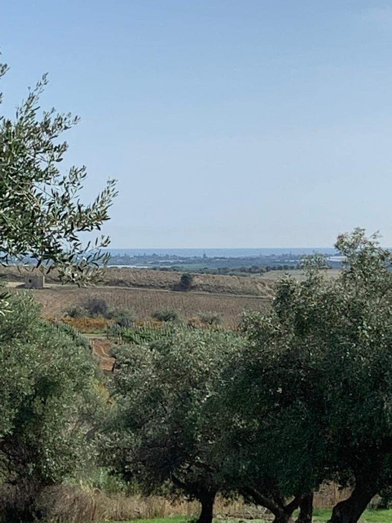 Venta Terreno Noto #27T n.5