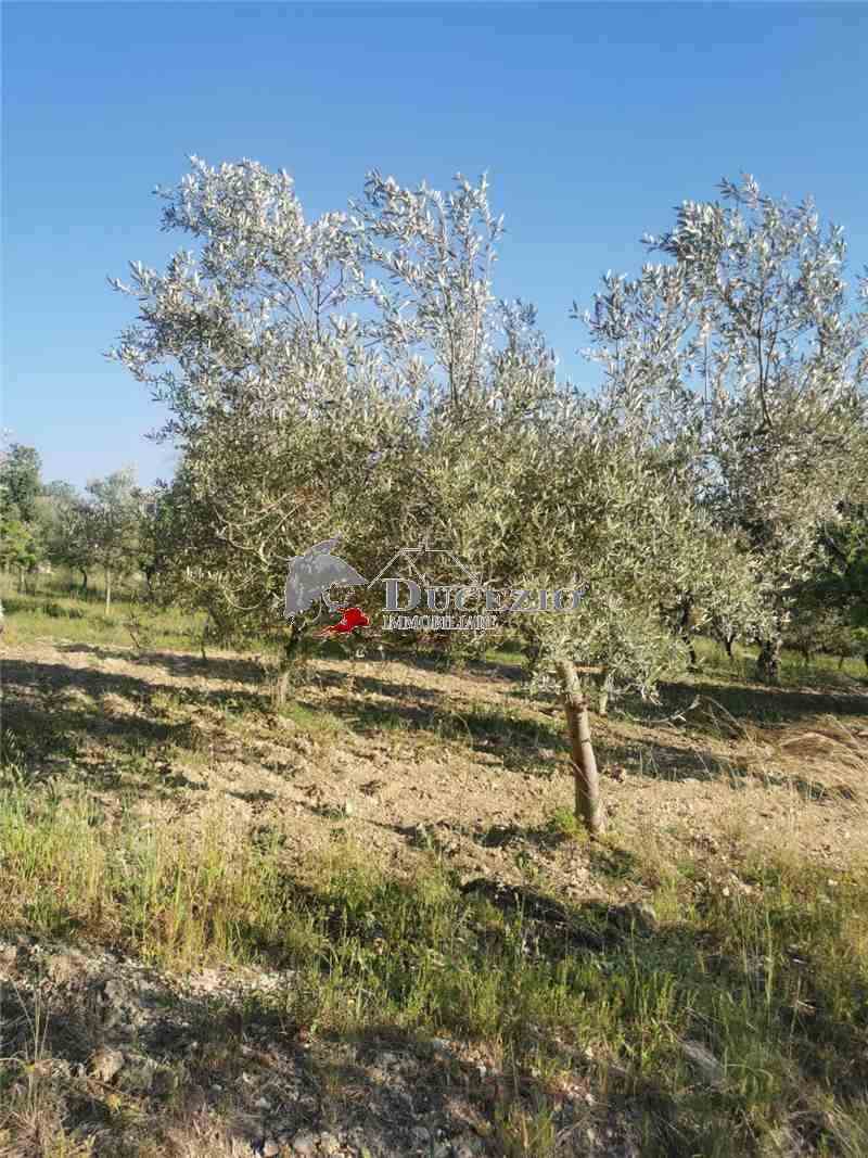 Venta Terreno Noto  #21T n.10