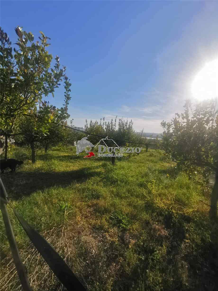Venta Terreno Noto #21T n.11