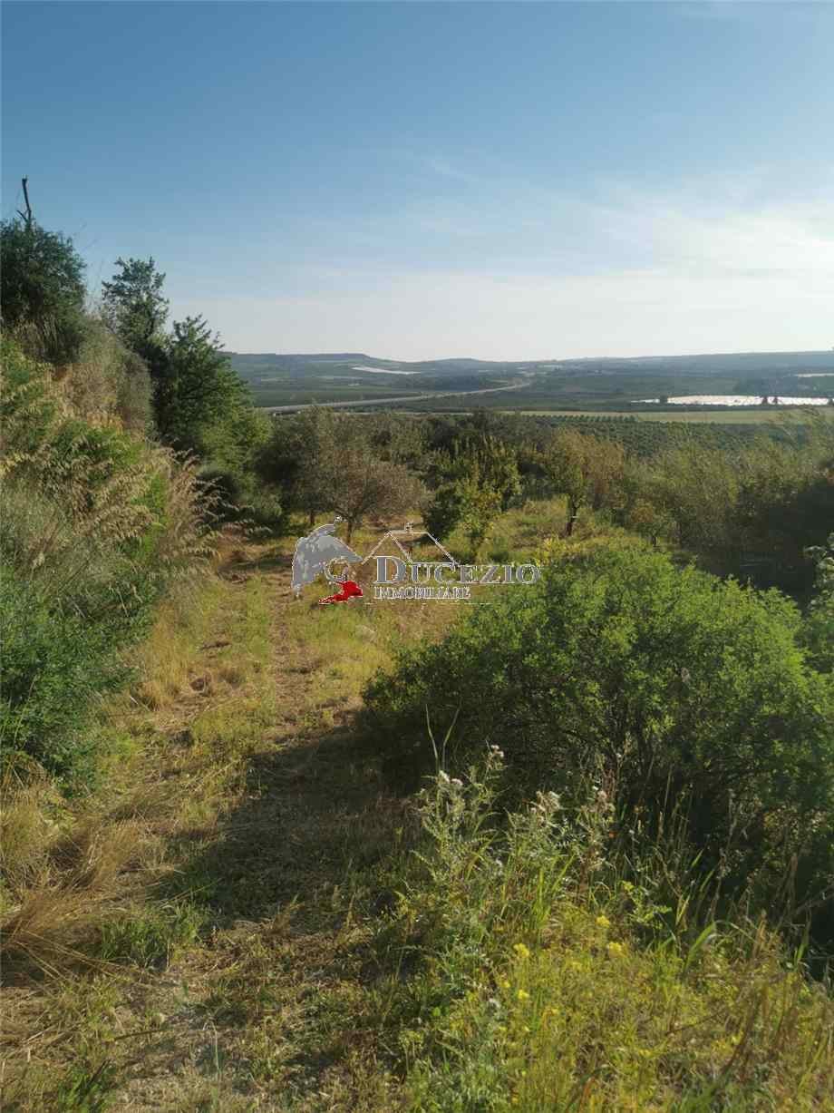 Venta Terreno Noto  #21T n.4