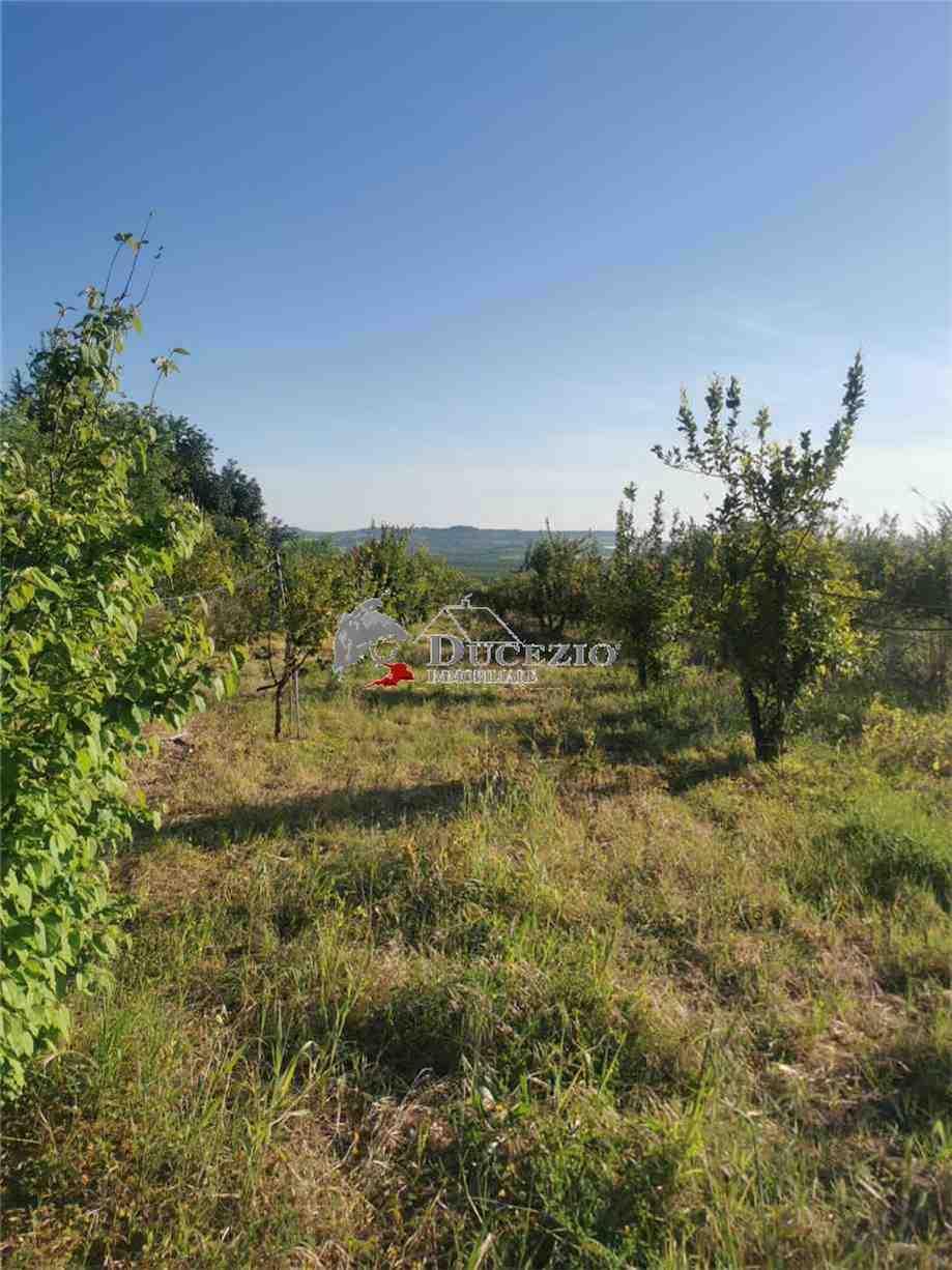 Venta Terreno Noto #21T n.5