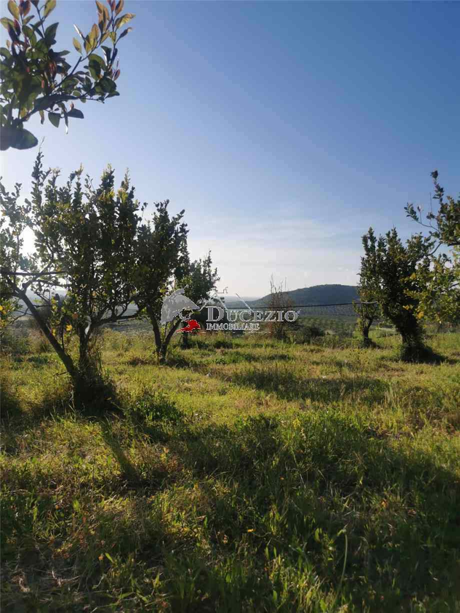 Venta Terreno Noto  #21T n.6