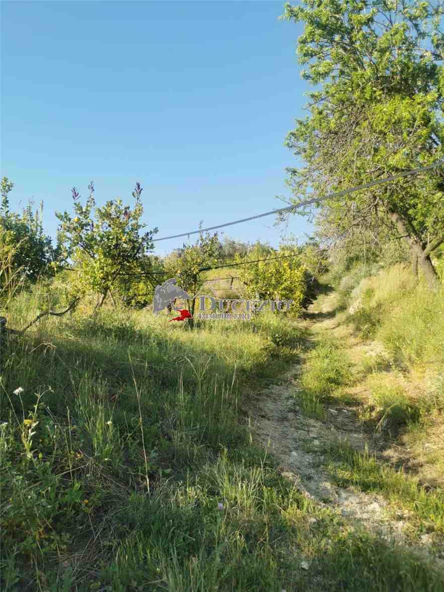 Venta Terreno Noto #21T n.8