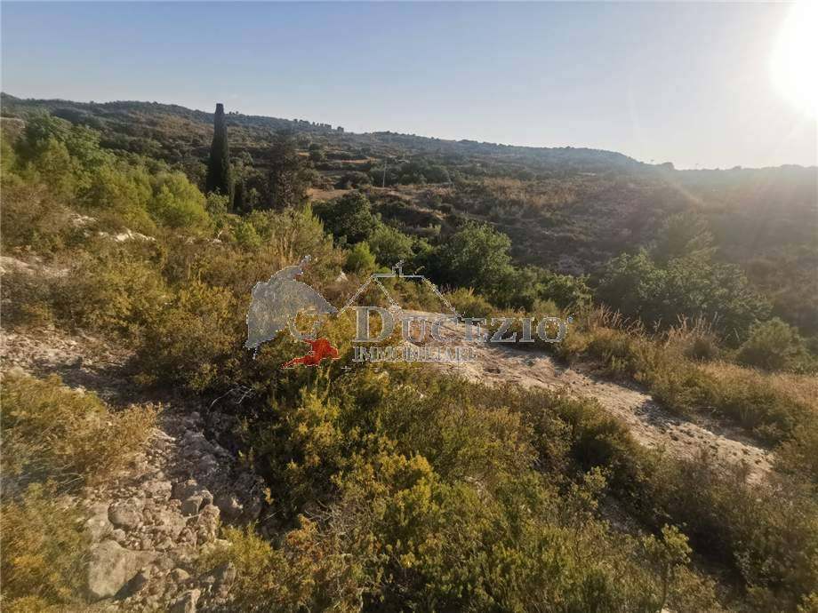For sale Bare land Noto  #7TC n.7