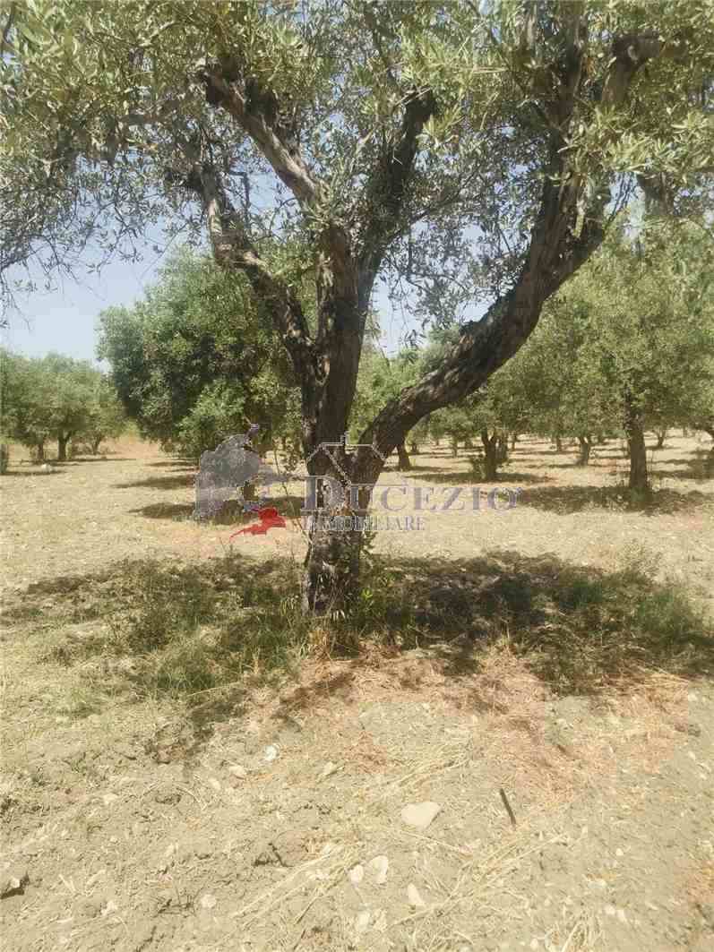 Venta Ruina Noto  #17T n.6