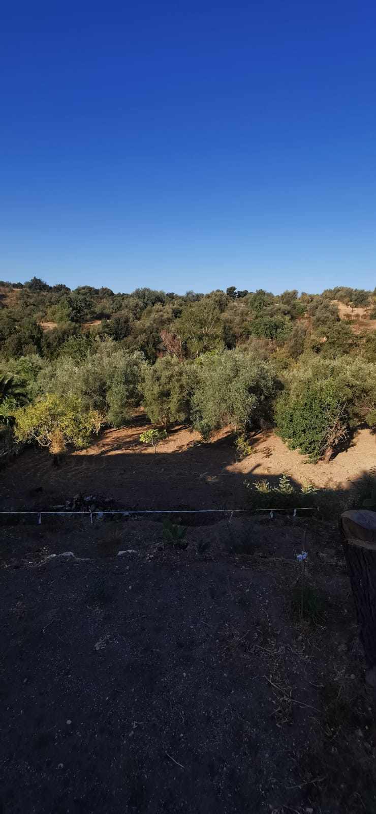 For sale Bare land Noto  #22T n.10