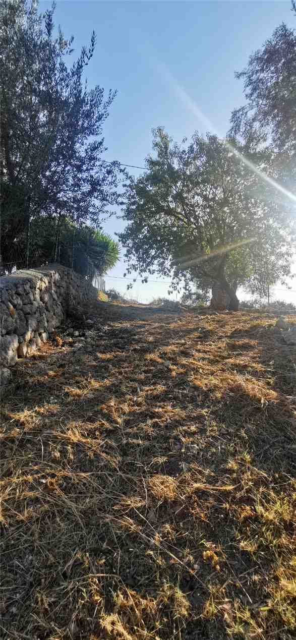 For sale Bare land Noto  #22T n.11