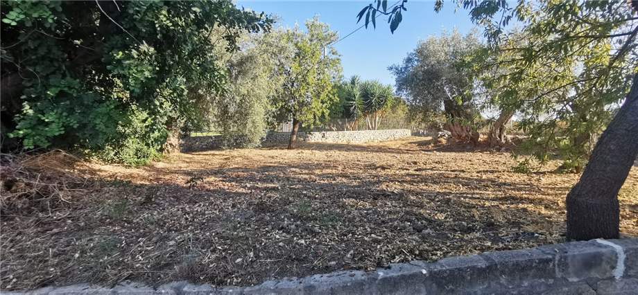 For sale Bare land Noto  #22T n.12