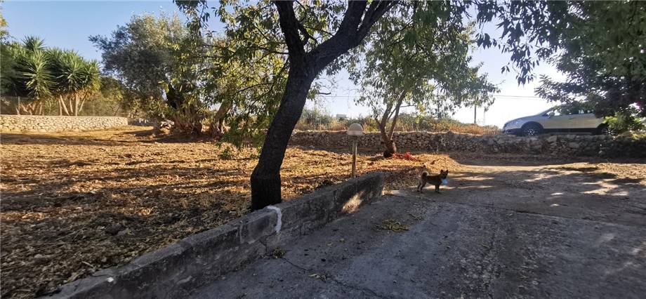 For sale Bare land Noto  #22T n.13