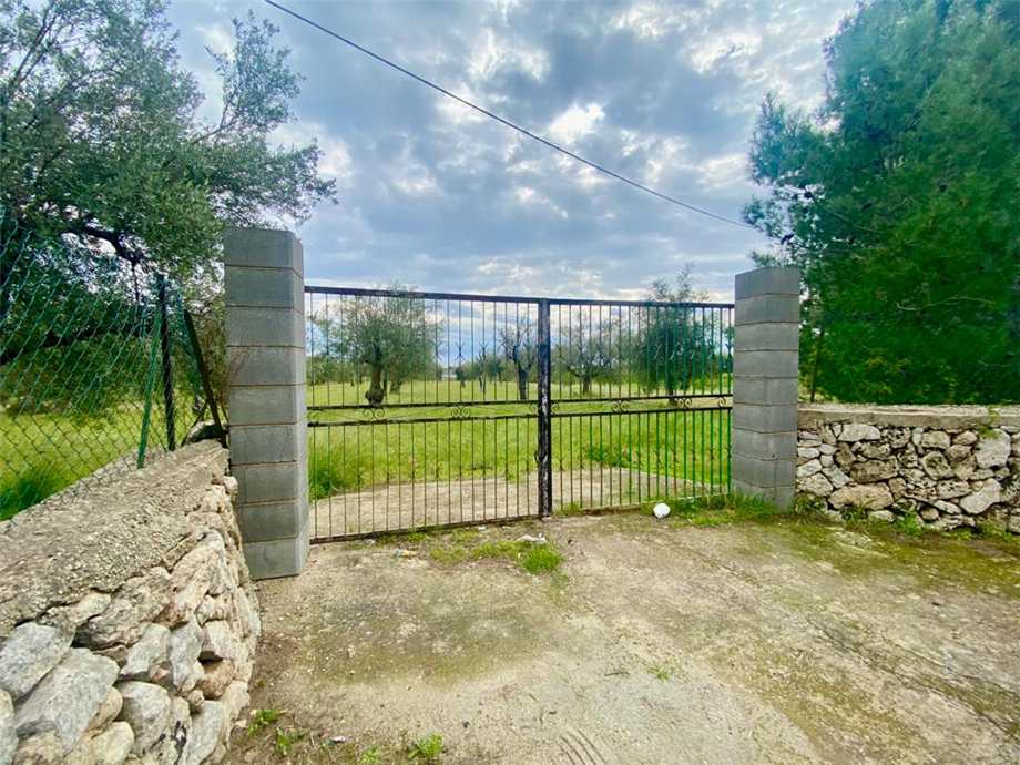 Agricultural land Noto #7T