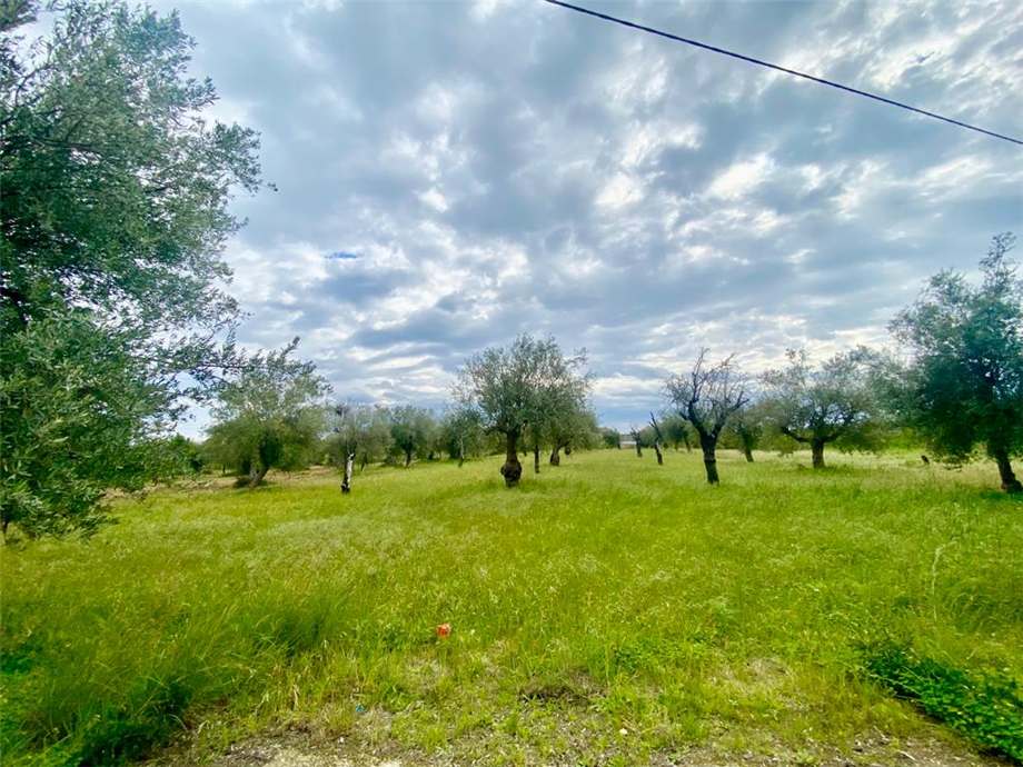 For sale Agricultural land Noto  #7T n.3
