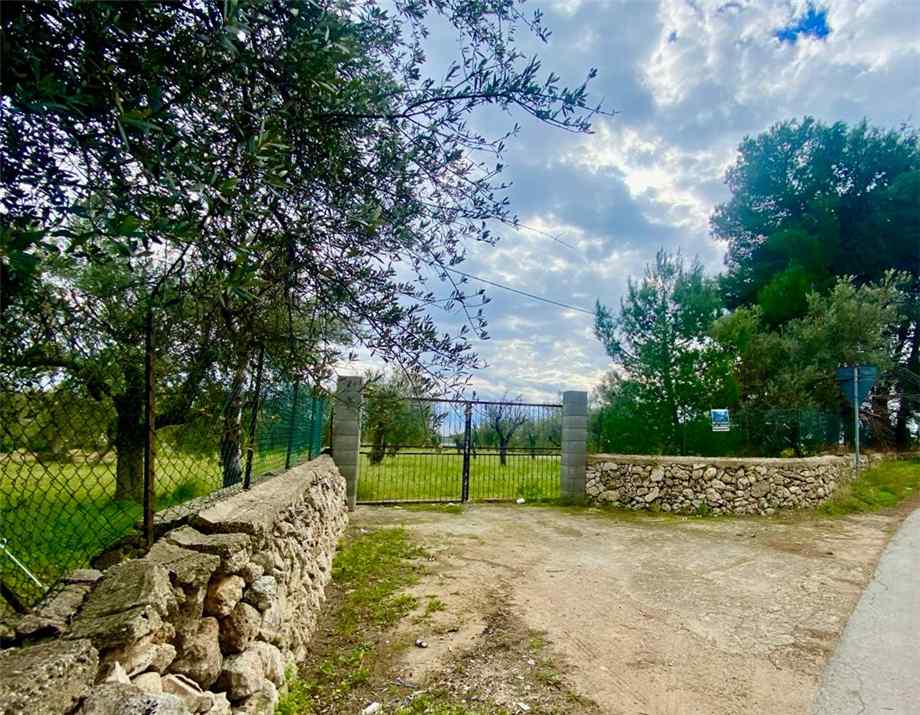 For sale Agricultural land Noto  #7T n.5