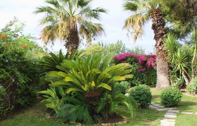 For sale Single-family Villa Siracusa  #10VSR n.4