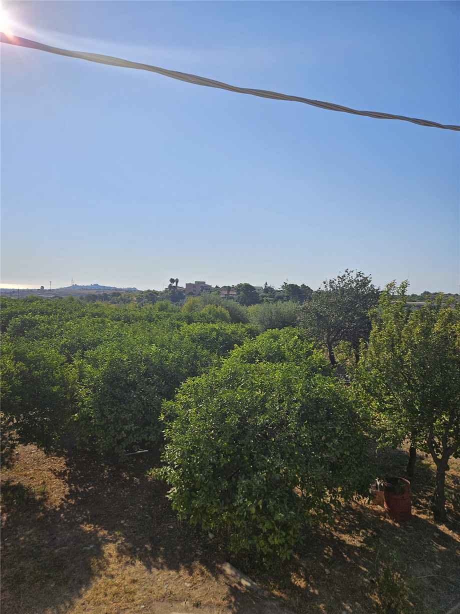 Venta Casa unifamiliar Noto  #63CT n.8