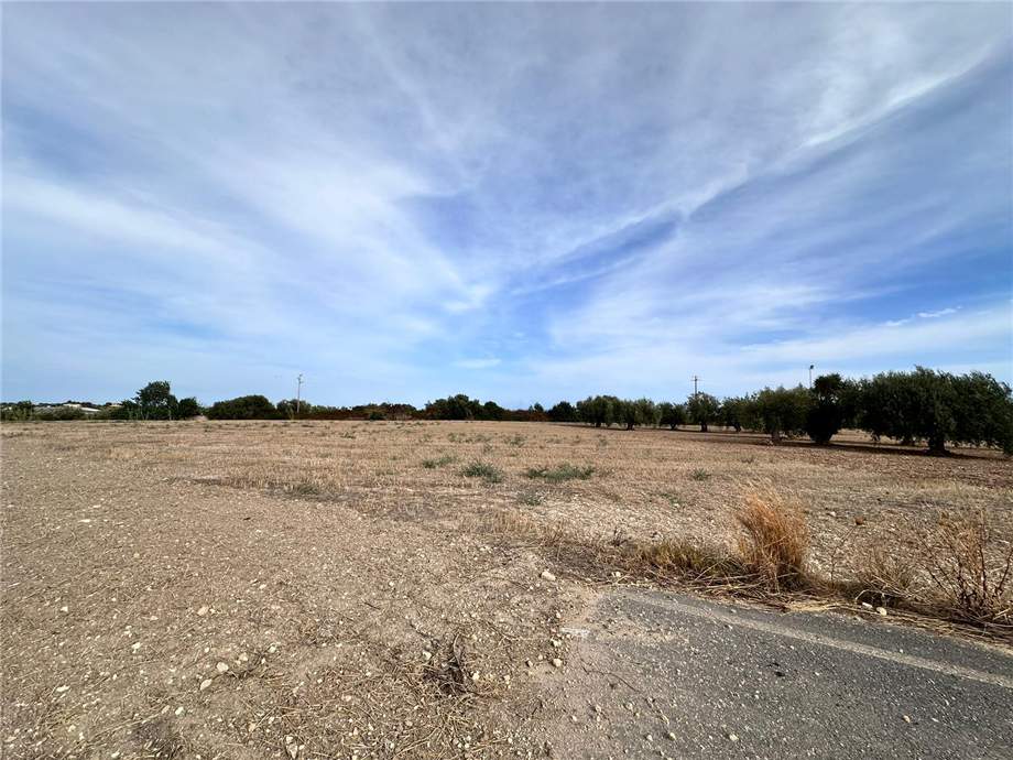 For sale Ruin Noto  #25RT n.10