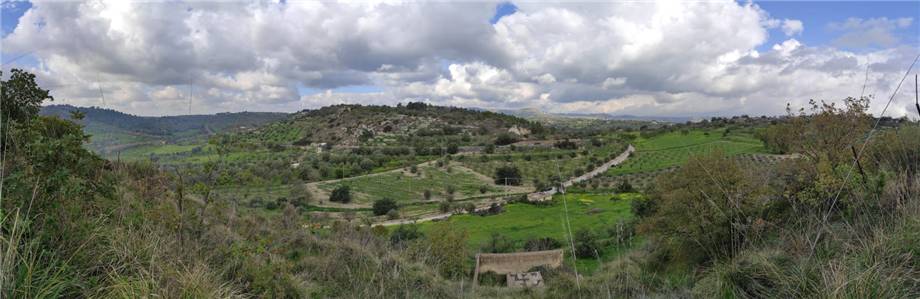 Terrain Noto #24T
