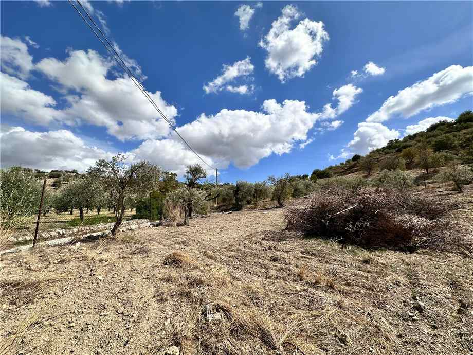 Vente Terrain Noto  #24T n.5