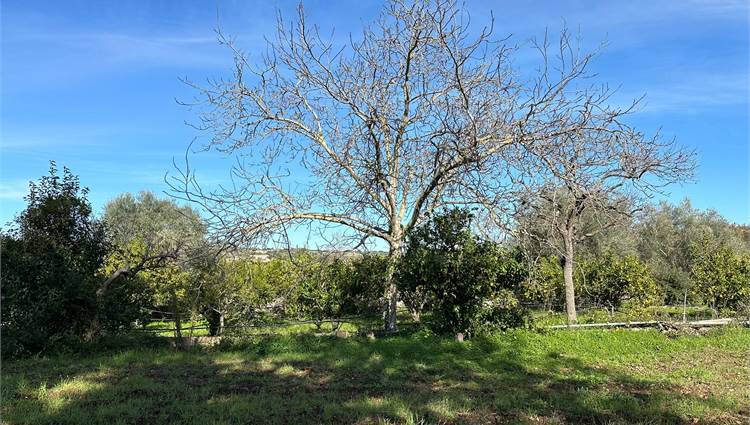 Vendita Villa indipendente Canicattini Bagni  #V000102 n.11