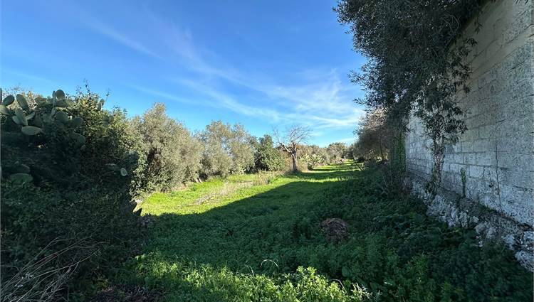 Vendita Villa indipendente Canicattini Bagni  #V000102 n.8