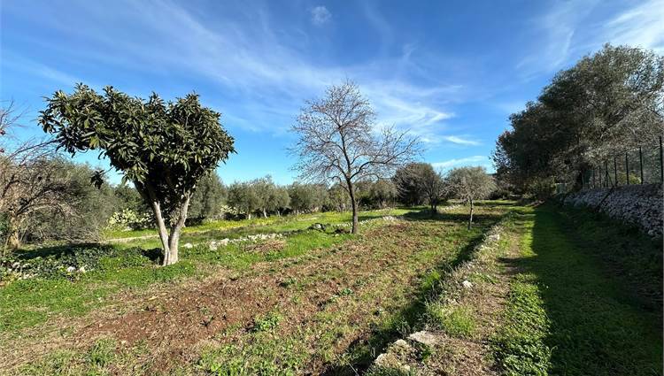 Vendita Villa indipendente Canicattini Bagni  #V000102 n.9