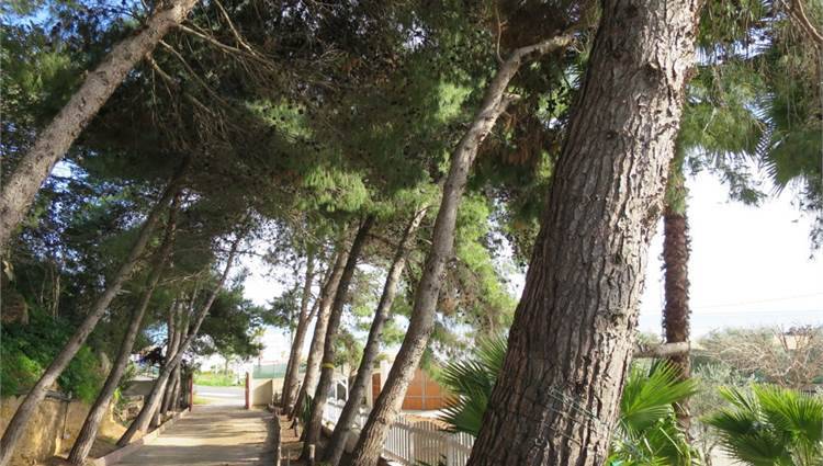 Venta Villa bifamiliar Noto  #V000118 n.14