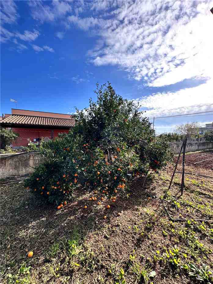 For sale Detached house Noto  #V000025 n.3