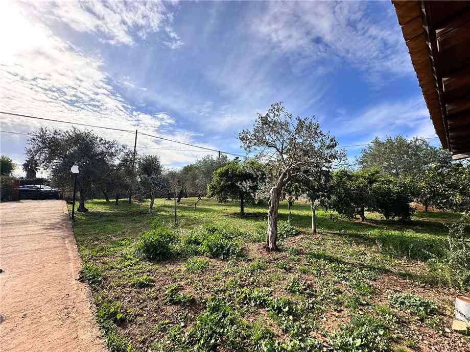 For sale Detached house Noto  #V000025 n.5