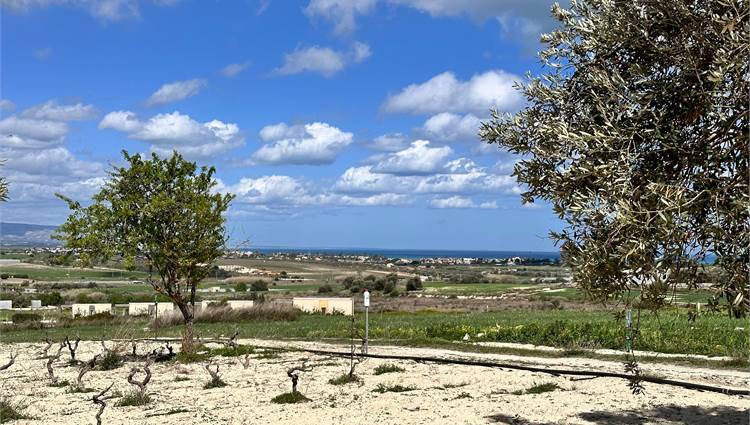 Venta Terreno Noto  #V000105 n.7