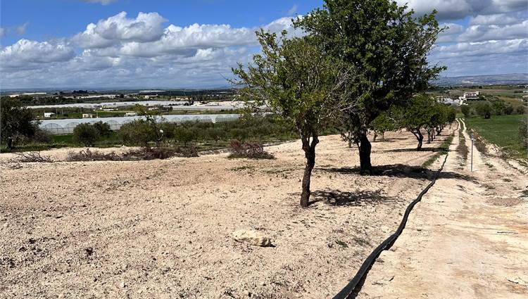Venta Terreno Noto  #V000105 n.9