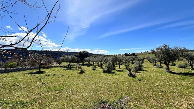 Venta Ruina Ferla CASSARO #V000088 n.13