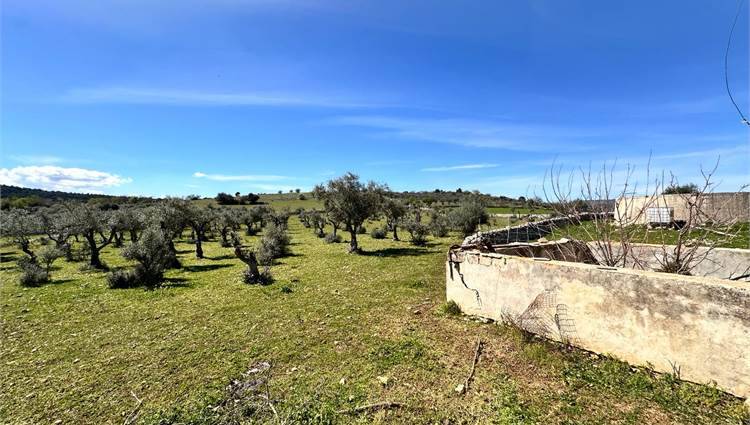 Venta Ruina Ferla CASSARO #V000088 n.5