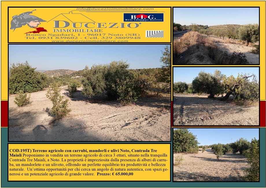 Venta Terreno Noto #195T n.1