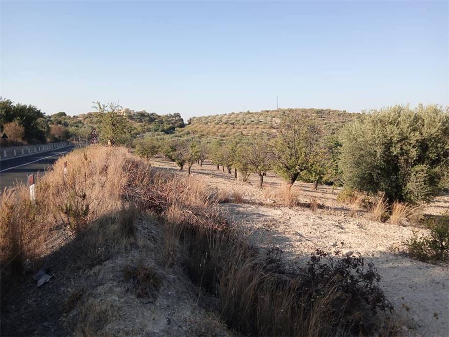Venta Terreno Noto  #27 T n.2