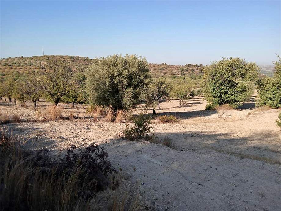 Venta Terreno Noto  #27 T n.3