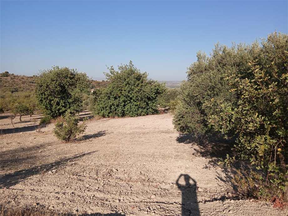 Venta Terreno Noto #195T n.4
