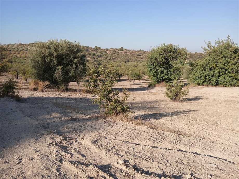 Venta Terreno Noto  #27 T n.5