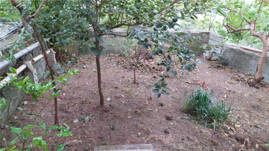 Vente Maison individuelle San Salvatore di Fitalia #33FC n.15