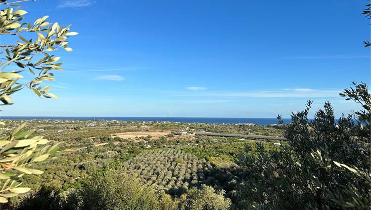 Terreno Noto #V000087