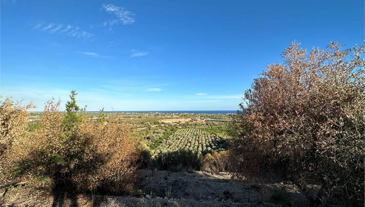 Venta Terreno Noto #V000087 n.6