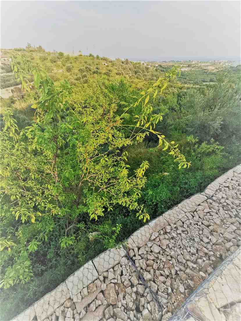 Vendita Villa indipendente Noto  #8VM n.8