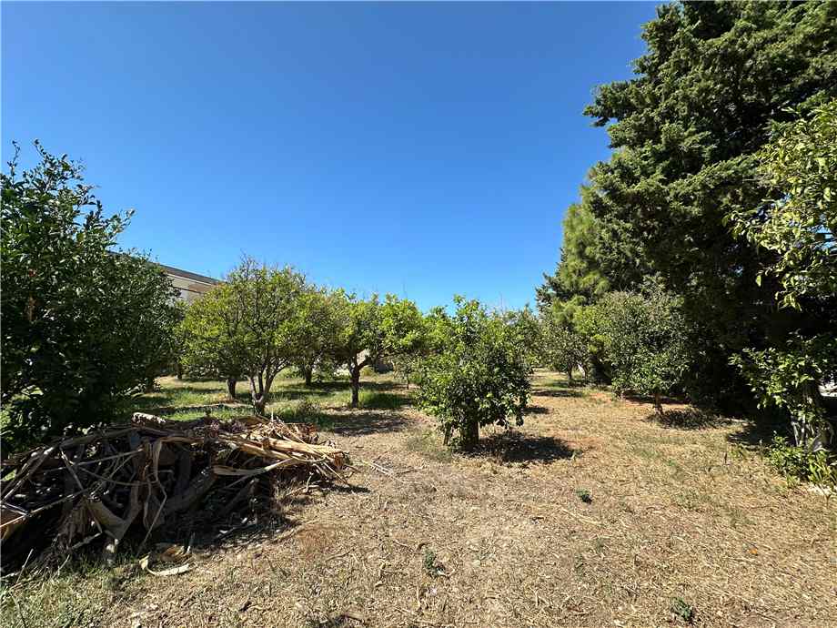 Vendita Rudere Avola  #177T n.6