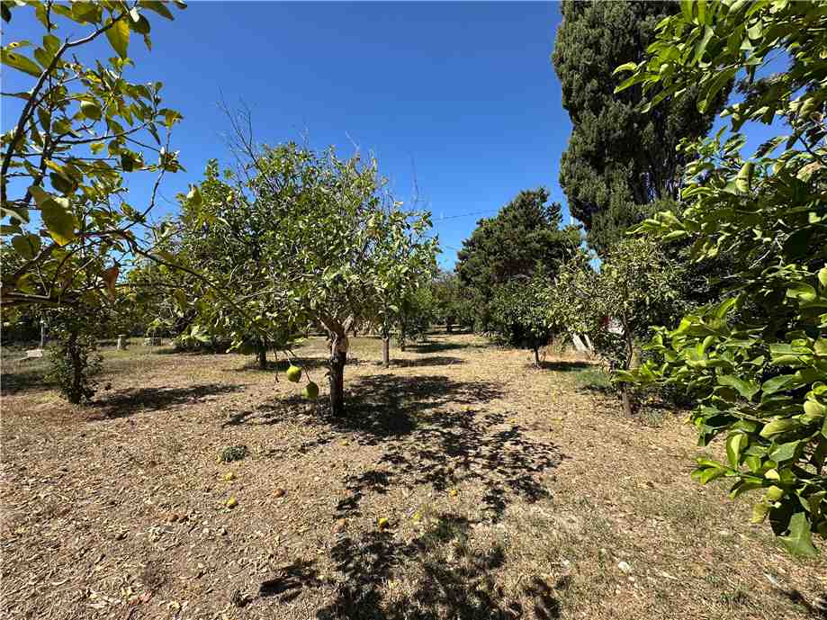 Vendita Rudere Avola  #177T n.7